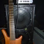 Der neue Gallier von Winne!